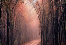 开云官网-日本羽毛球队完胜英格兰羽毛球队，桃田贤斗爆发神勇，羽毛球世界新格局呼之欲出