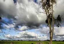 开云体育登录-德国乒乓球队血洗比利时：张本智和领衔的高光时刻全记录