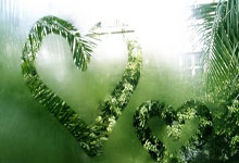 开云体育入口-马赛翻盘阿根廷，本泽马高光表现