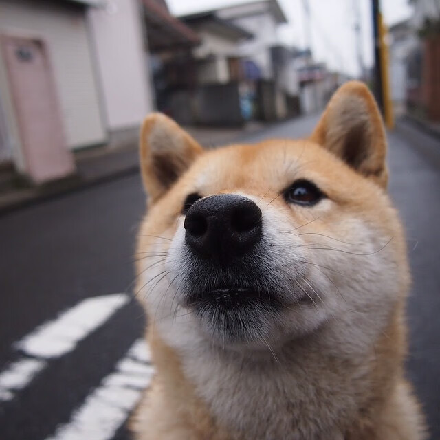 开云官网-他是湖船厮杀中最不起眼的钥匙，却在喧嚣中默默改写了洛杉矶的叙事